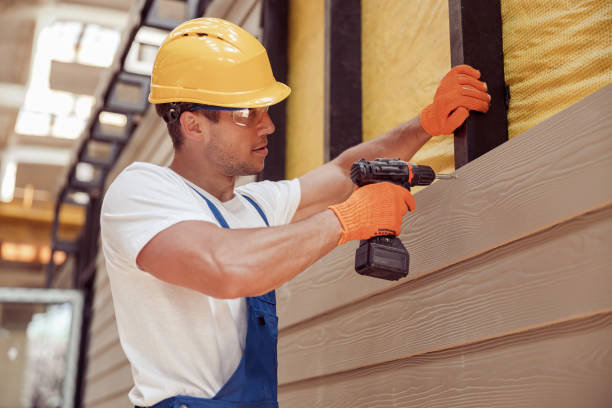 Best Steel Siding Installation  in Sun Village, CA